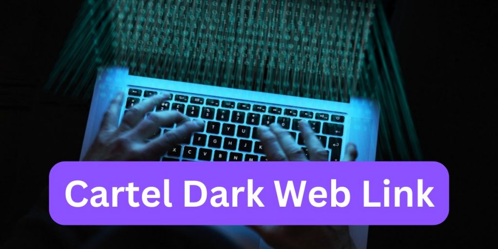 Cartel Dark Web Link